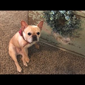 Meet your Posher, Mark